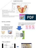 Elementos Del Parto