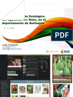Presentacion Comportamiento Del Aguacate en El Dpto- Dr Jorge Bernal