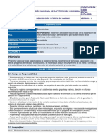 Extensionista Manual Organizacional. 2009