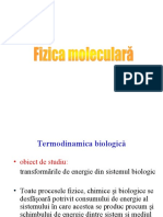 Termodinamica Biologica