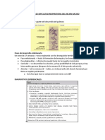 Sindrome de Dificultad Respiratoria Del Recien Nacido