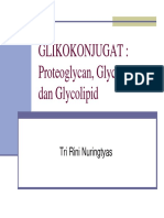 GLIKOKONJUGAT Proteoglycan Glycoprotein