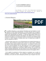 Vsip.info 342482517 Caso Cultivos Sayonarapdf PDF Free