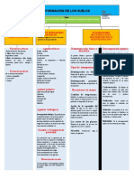 Mapa Conceptual Sobre El Origen y Formación de Los Suelos 