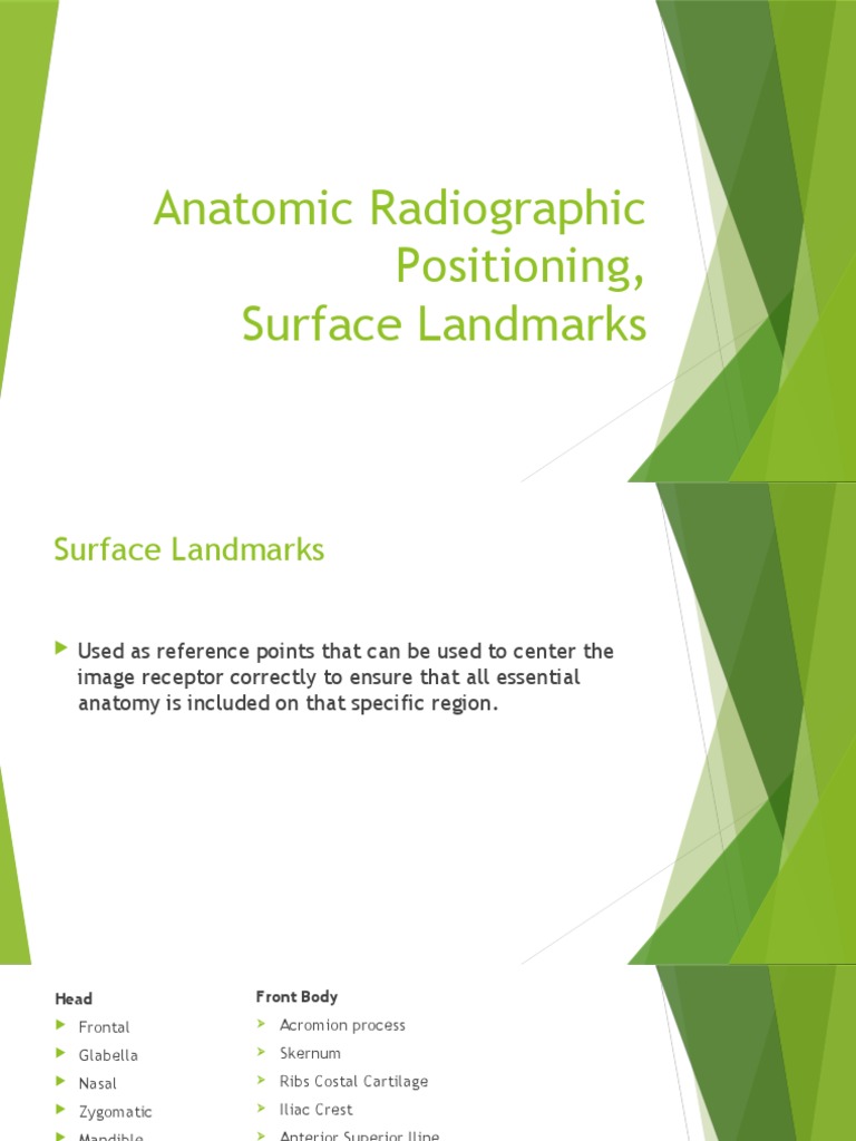 Anatomical Surface Landmarks Guide | PDF