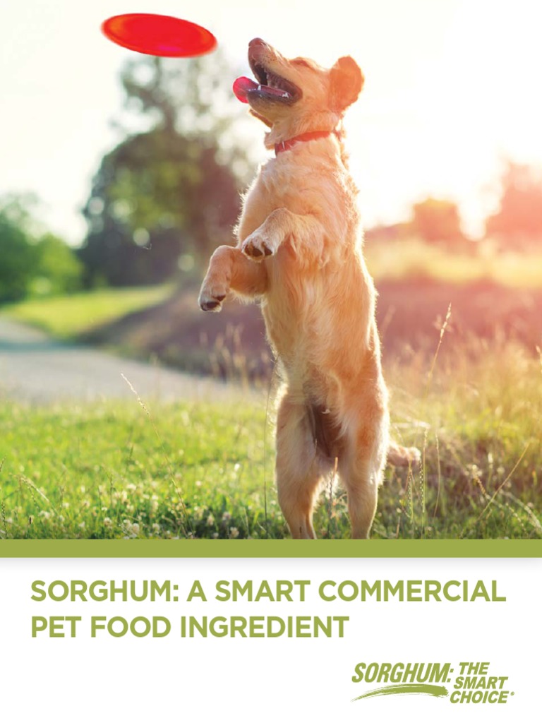 A Smart Commercial Pet Food Ingredient PDF Dog Food Foods