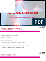 SISTEMA ARTICULAR