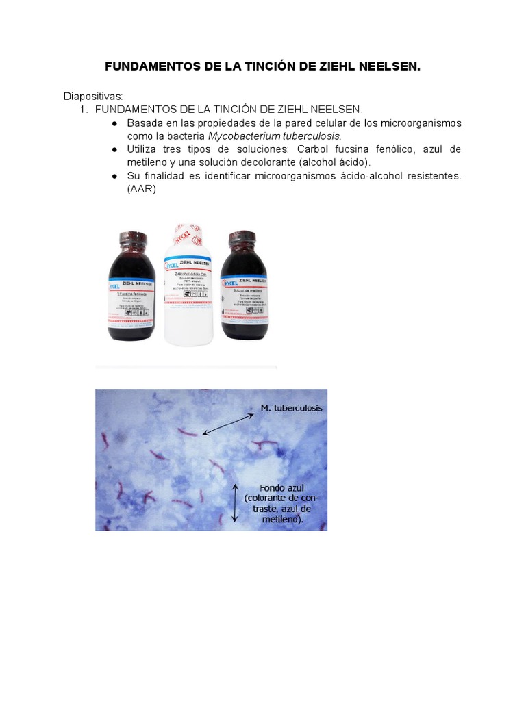 fundamentos-de-la-tinci-n-ziehl-neelsen-pdf