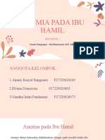 Kel 2 - Anemia Pada Ibu Hamil