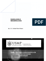 USMP Anatomía Radiográfica en Otras Proyecciones Extraorales (NXPowerLite) (Modo de Compatibilidad)