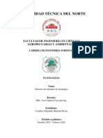 C Buitrón Informe1 Patologías