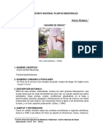 Ficha_tecnica_informacion_economica_sangre_grado_2006_keyword_principal