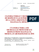 Galindo-Alcázar Et Al. (2018) - Cyanobacteria and Microalgae From Surface Biofilm