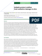 Glycerophospholipids Protect Stallion Spermatozoa