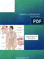 Anpath1 Laboratory: Lymphatics and Immunity