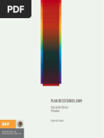 PLAN EDUCACION BASICA. PRIMARIA 2009. PRELIMINAR