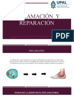 Inflamación y Reparación