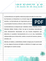 Sintesis de Biomoleculas