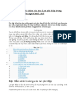 Kỹ Thuật Trồng Lan Phi Điệp Và Cách Chăm Sóc.fao