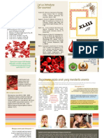 Pdfcoffee.com Leaflet Anemia 27 PDF Free