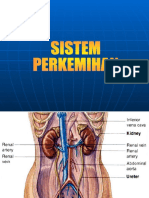 Sistem Perkemihan Oke