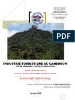 Industrie Touristique Au Cameroun. Forces, Faiblesses Et Opportunités d'Avenir