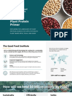2021-02-23 Plant Protein Primer GFI