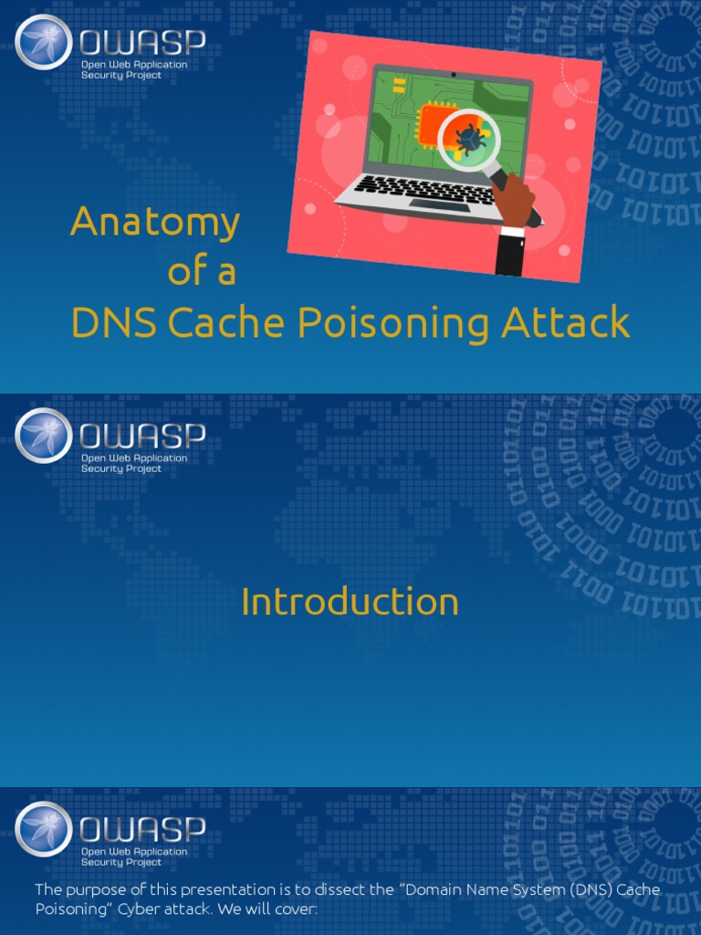 DNS Cache Poisoning Attack Overview | PDF | Domain Name System ...