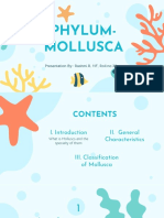 Biology Research Project On Phylum Mollusca