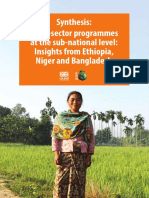 Synthesis: Multi-Sector Programmes at The Sub-National Level: Insights From Ethiopia, Niger and Bangladesh