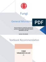 Fungi - : General Microbiology