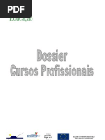 dossier cursos profissionais