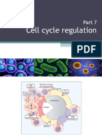 Bio-Lecture 2 - Cell Cycle Regulation