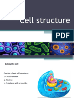 Bio Lecture 2 Cell Structure