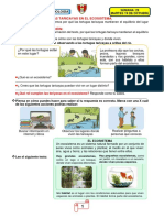 19-10-2021 CIENCIA y TECNOLOGÍA Las Taricayas en El Ecosistema