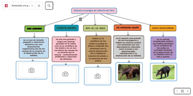 Animales en Peligro de Extinción Del Pe... - Mapa Mental | PDF |  Destrucción del habitát | Osos