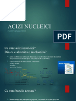 Acizi Nucleici