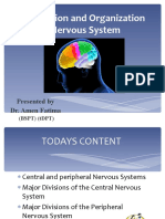 Introduction and Organization of Nervous System: Presented by Dr. Amen Fatima