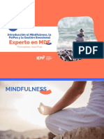 BIM01 - Introduccion Al MDF, La PsiPos y La Gestion Emocional