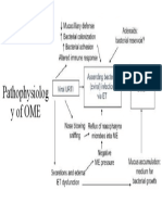 Pathophysiology of OME
