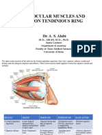 Extraocular Muscles and Common Tendinous Ring