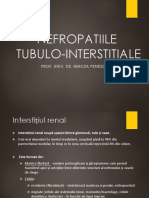Nefropatiile Tubulo-Interstiţiale: Prof. Univ. Dr. Mircea Penescu