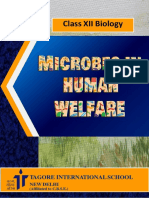 Chapter 10 Microbes in Human Welfare