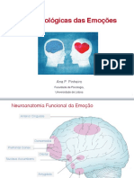 2 Emoções - e - Cérebro