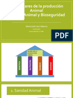 Sanidad Animal Y Bioseguridad