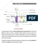 Séquence 9 Membrane Bilan