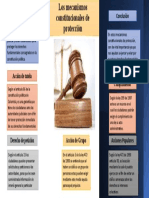 Los Mecanismos Constitucionales de Protección - Infografia