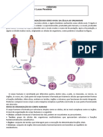 6° Ano Ciências - Organização Corpo