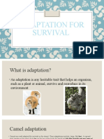 Adaptation for survival