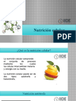 Nutrición Celular